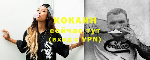 дмт Елизово